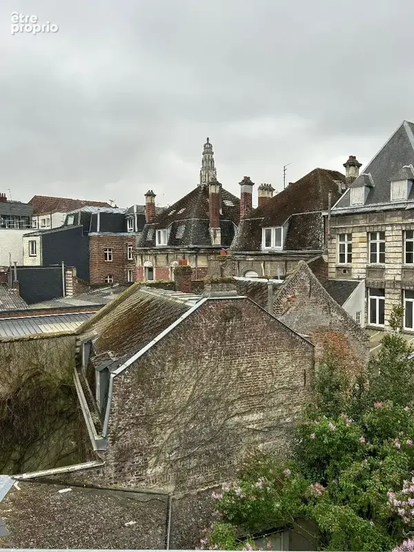 Maison Bourgeoise à  Arras de 213 m2 - photo 12