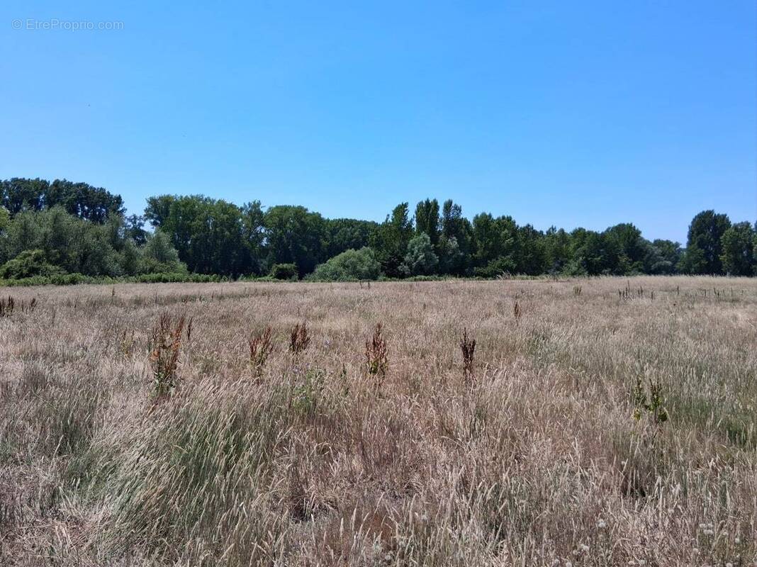 Terrain à CREYSSE