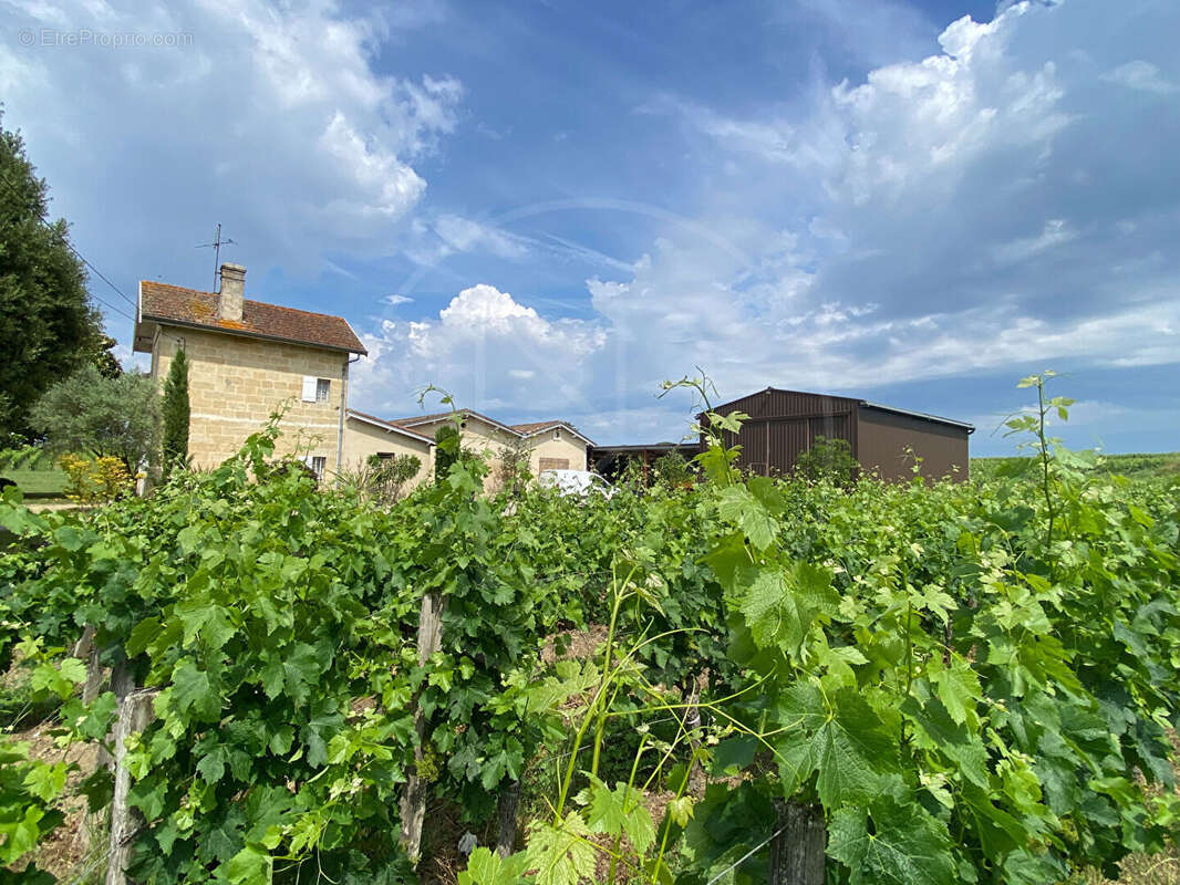 Emplacement exceptionel pour cette maison en pierre avec 4 ha au tour - photo 4