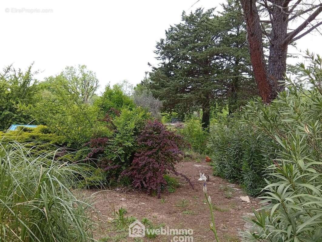 Maison à LE THORONET