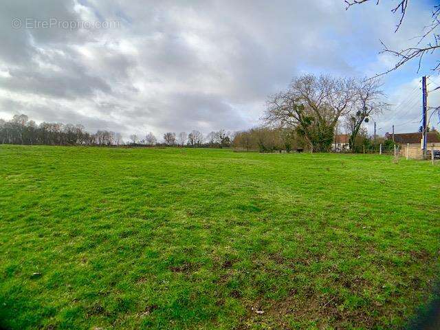 Terrain à EVRY-GREGY-SUR-YERRE