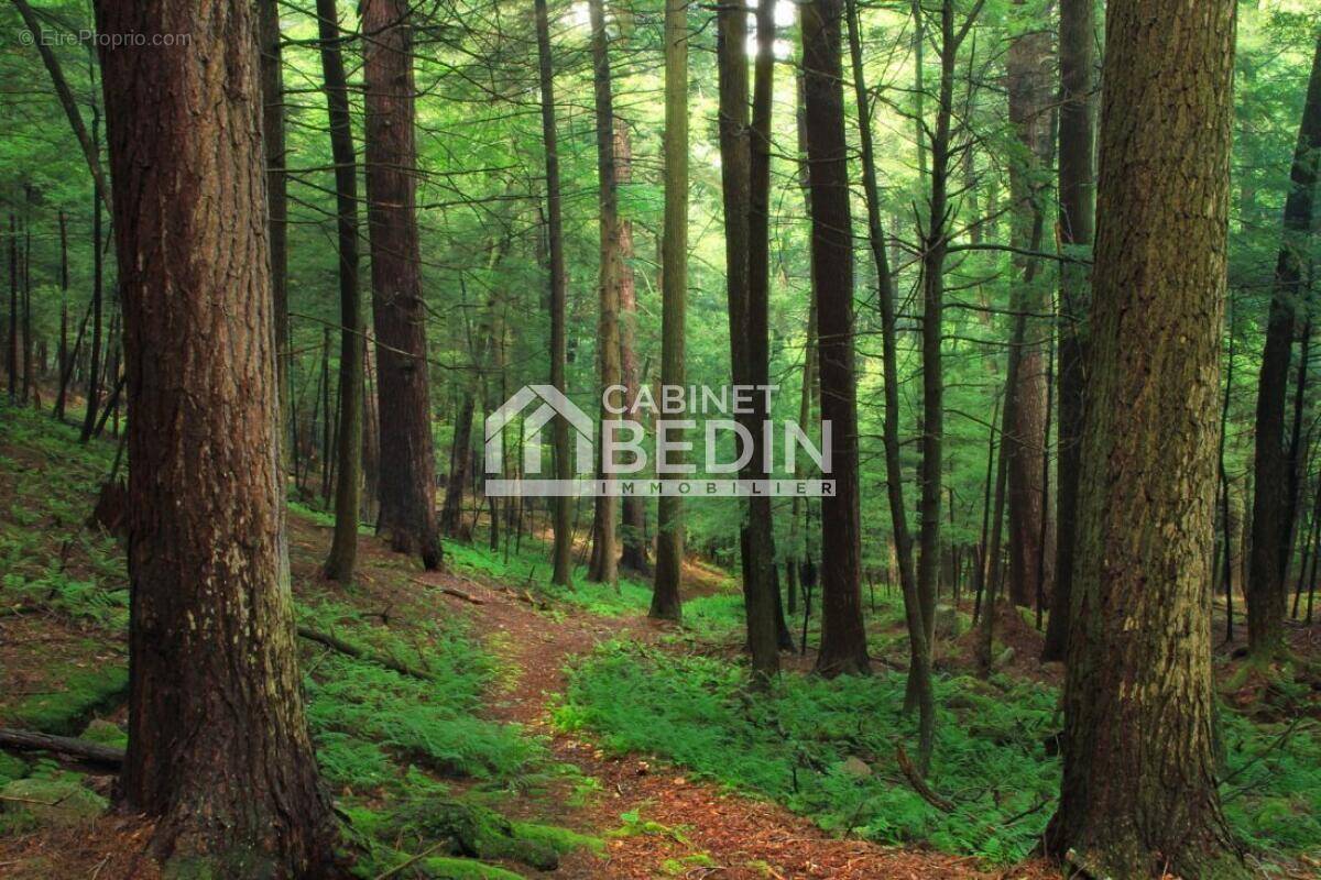 Terrain à AYGUEMORTE-LES-GRAVES