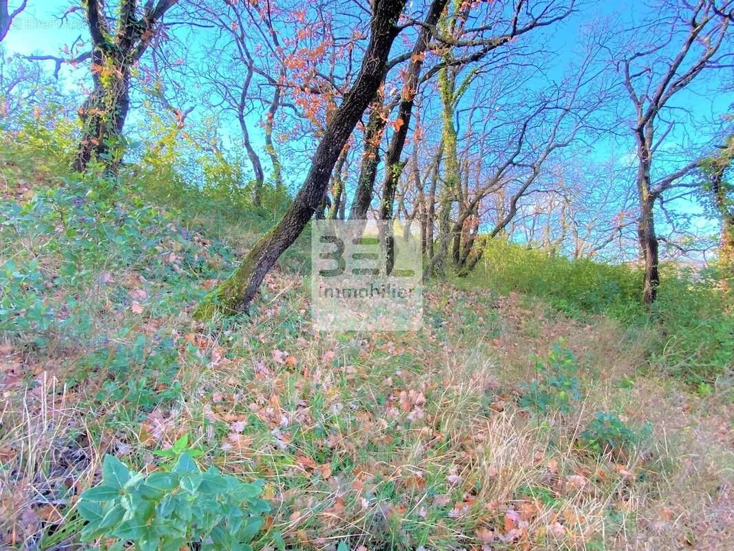 Terrain à LE TEIL