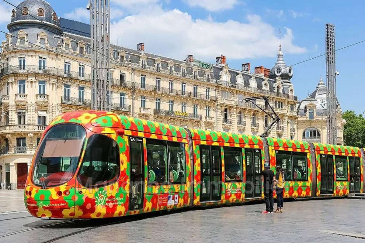 Appartement à CASTELNAU-LE-LEZ