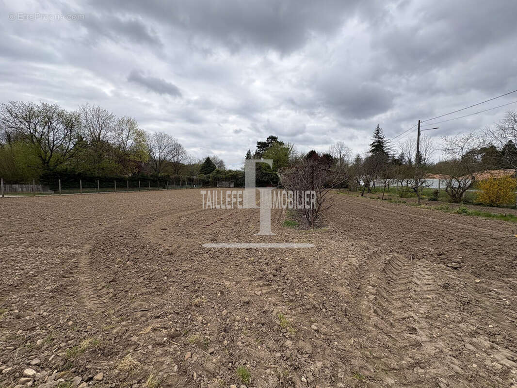 Terrain à ANTONNE-ET-TRIGONANT