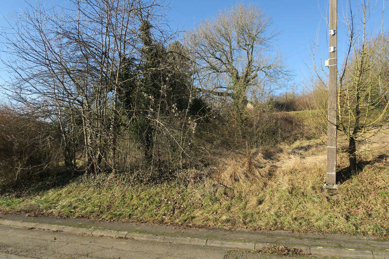Beau terrain de 30 ares - photo 3