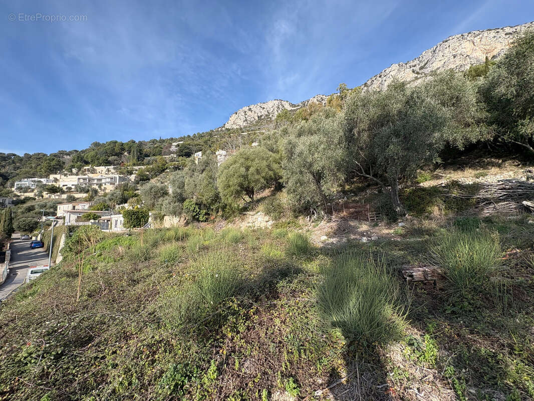 Terrain à EZE