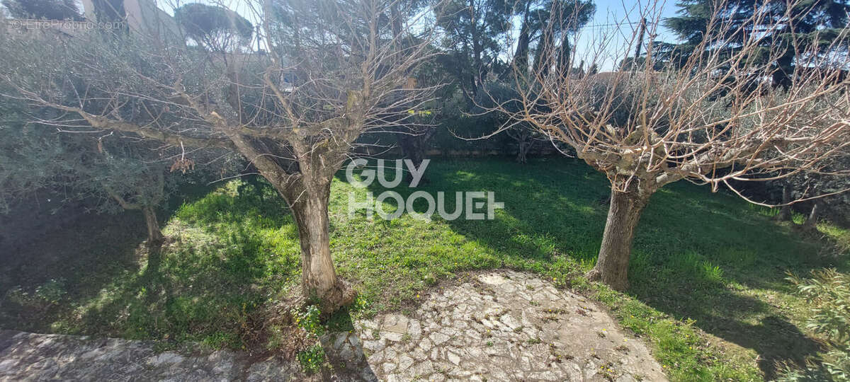 Maison à CARPENTRAS