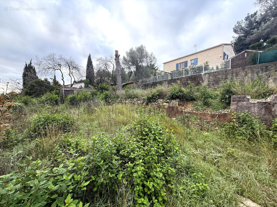 Terrain à SANARY-SUR-MER