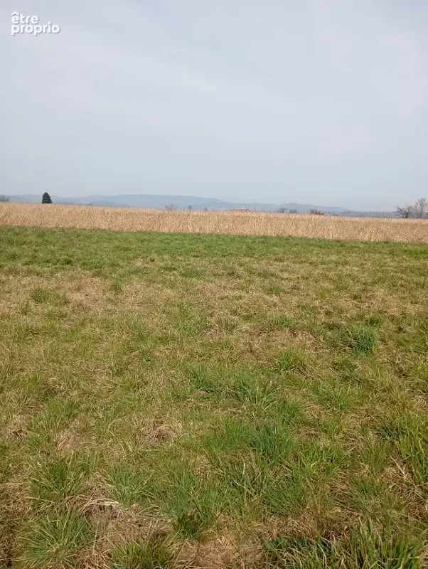 Terrain 884 m² à Saint-Vallier  - photo 1