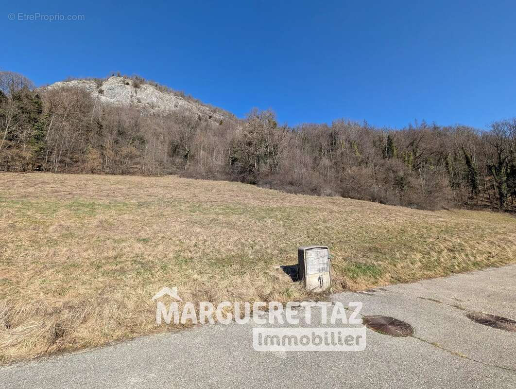 Terrain à ONNION