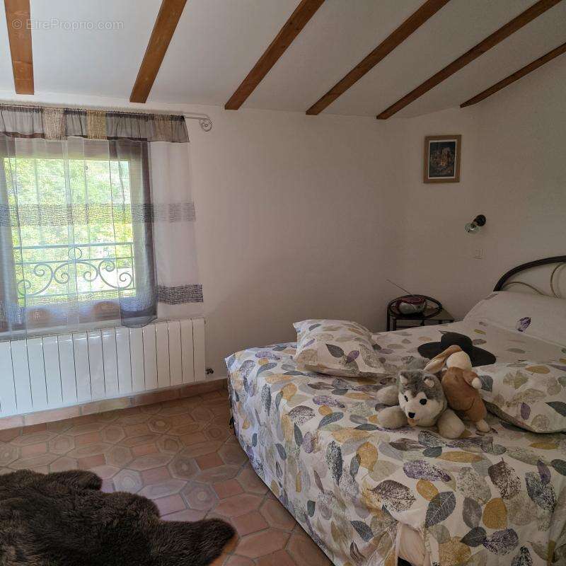Splendide maison avec 2 logements et piscine - photo 17