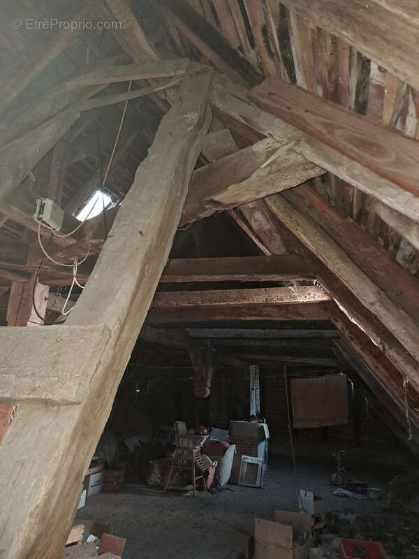 Découvrez votre havre de pays en plein cœur de ville ! - photo 21