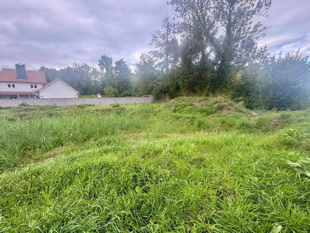 Terrain à KRAUTWILLER