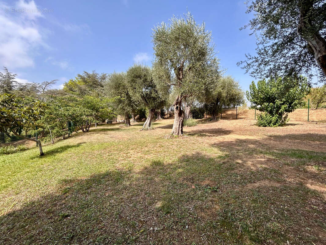 Studio corniche bellevue - photo 13