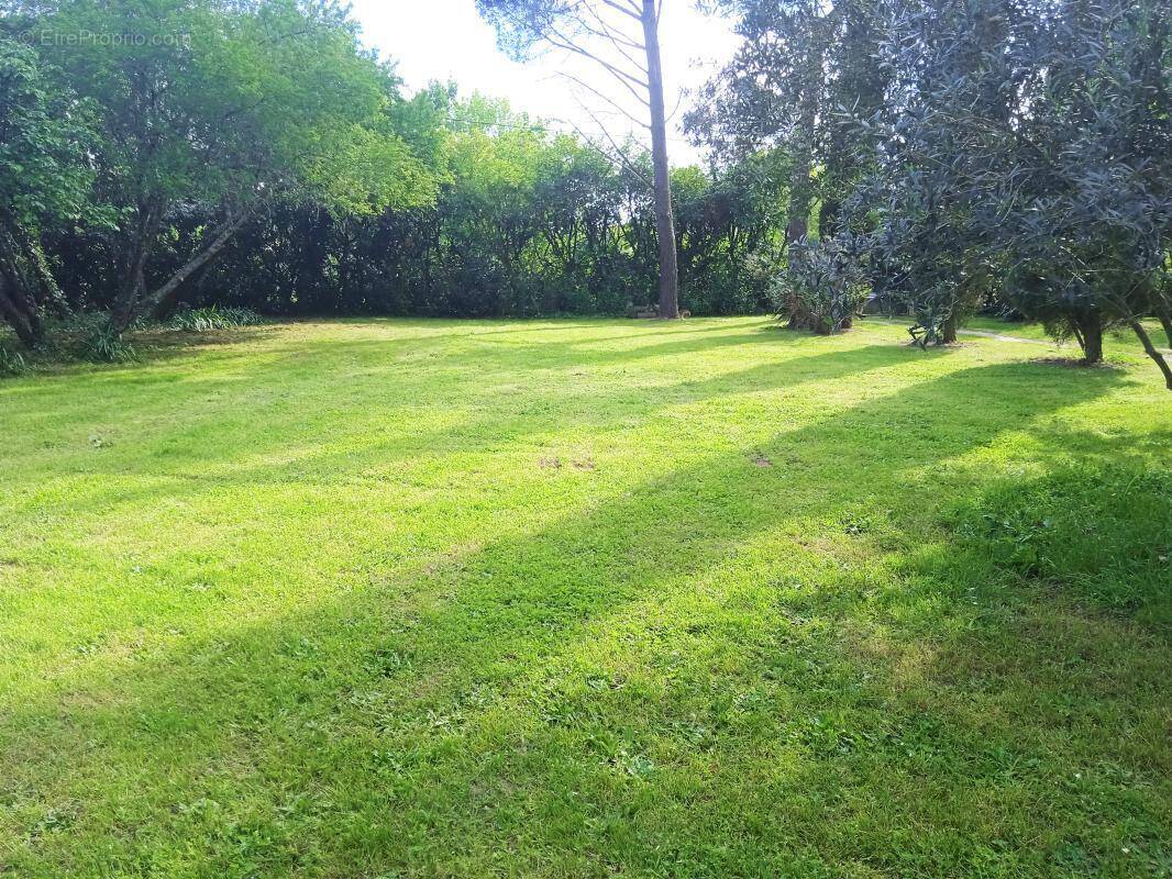 Terrain à SABLONS