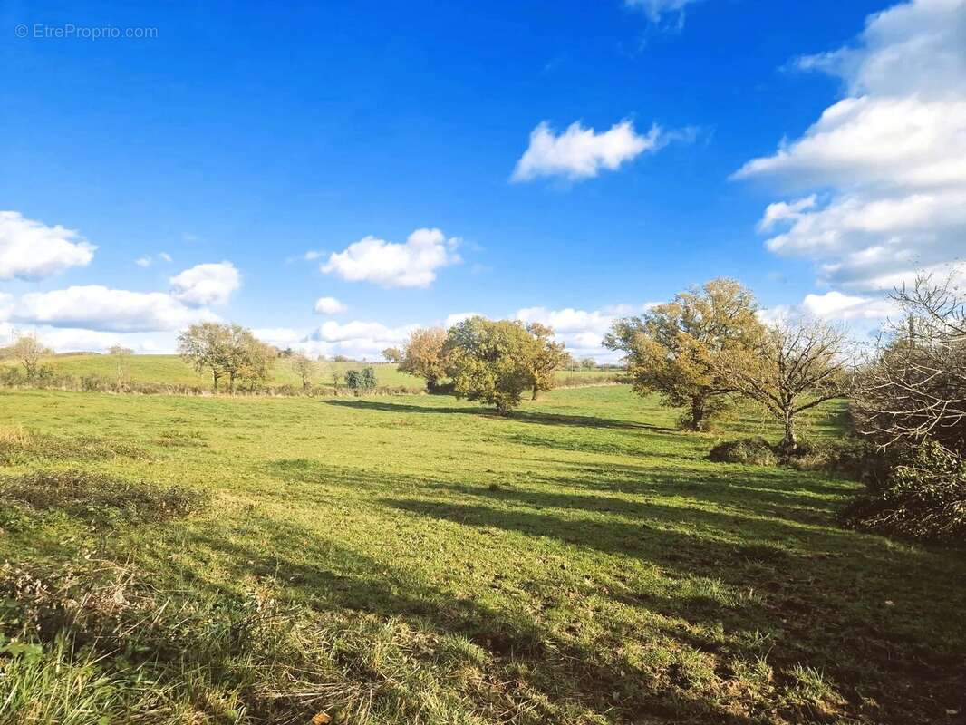 Maison à LA SALVETAT-PEYRALES