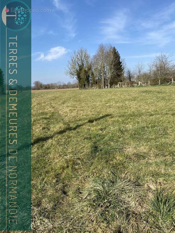 Terrain à MOYAUX