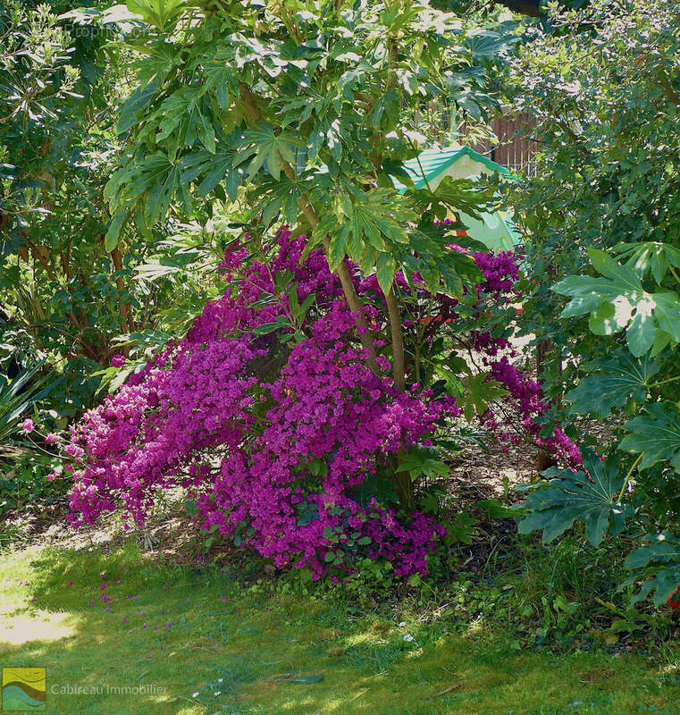 Maison à LACANAU