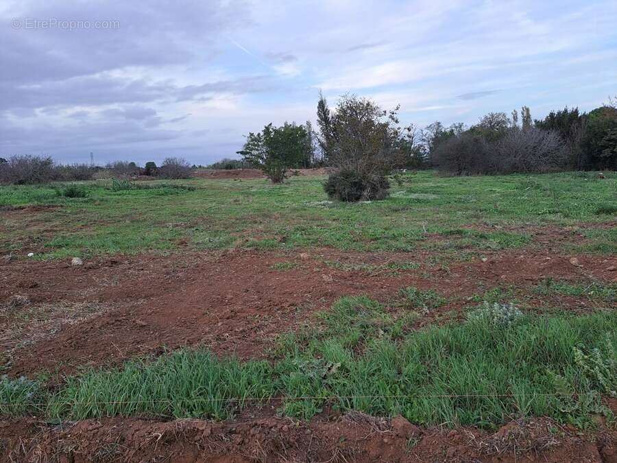 Terrain à FOS-SUR-MER