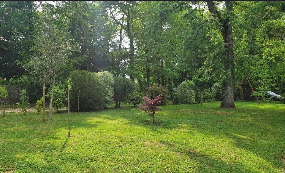 Terrain à RUEIL-MALMAISON