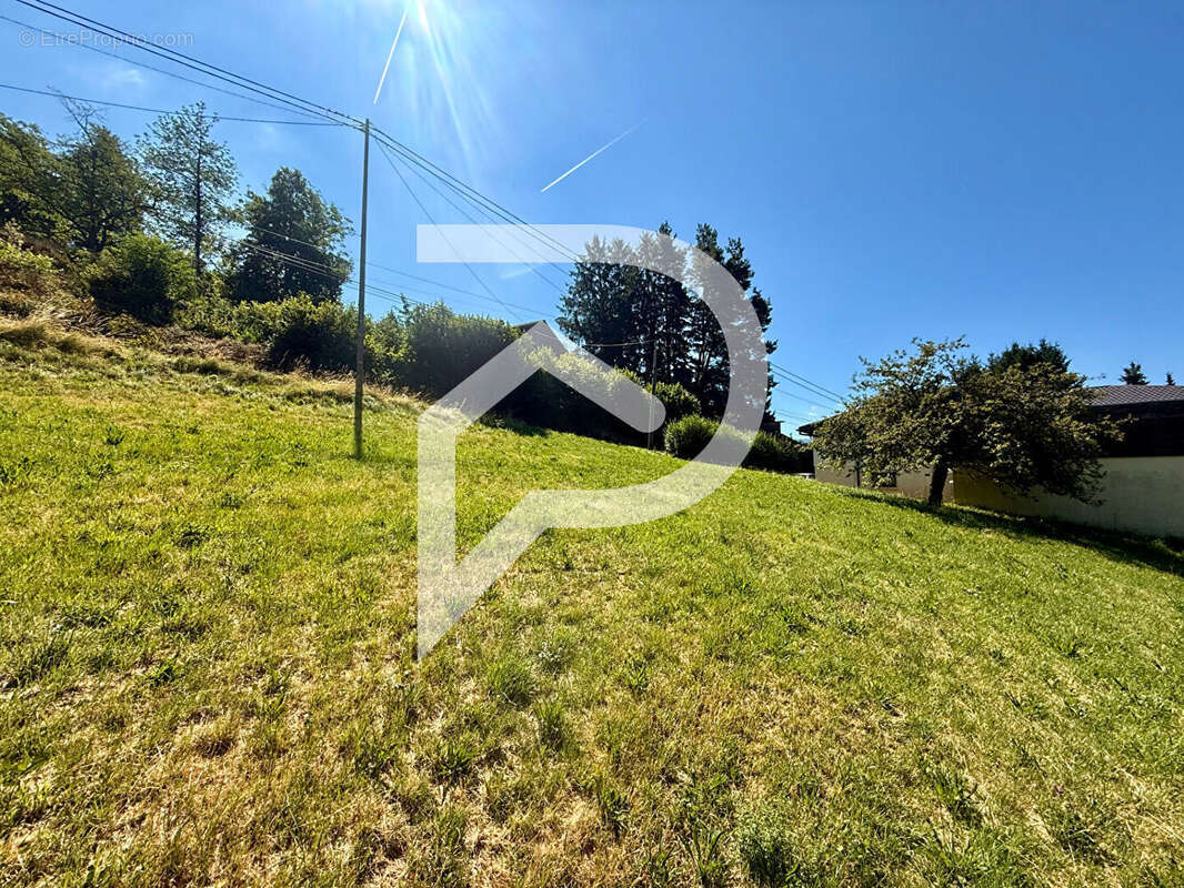 Terrain Soultzeren 592 m2 - photo 4