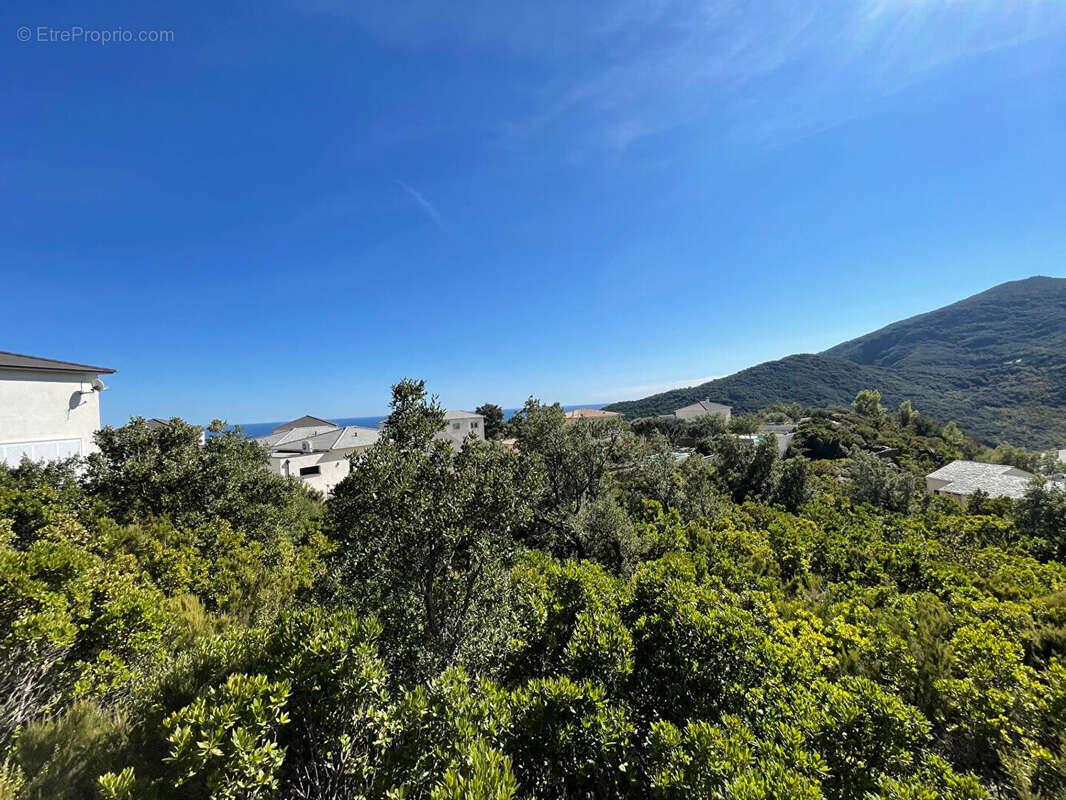 Terrain à SANTA-MARIA-DI-LOTA