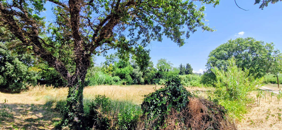 Terrain à BOLLENE