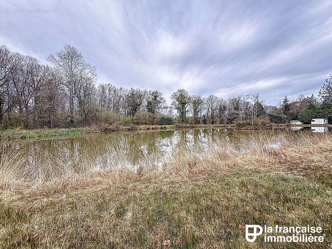 Terrain à SENS-DE-BRETAGNE