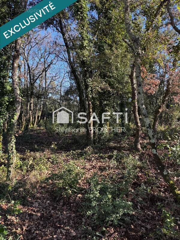 Photo 1 - Terrain à VALLON-PONT-D'ARC