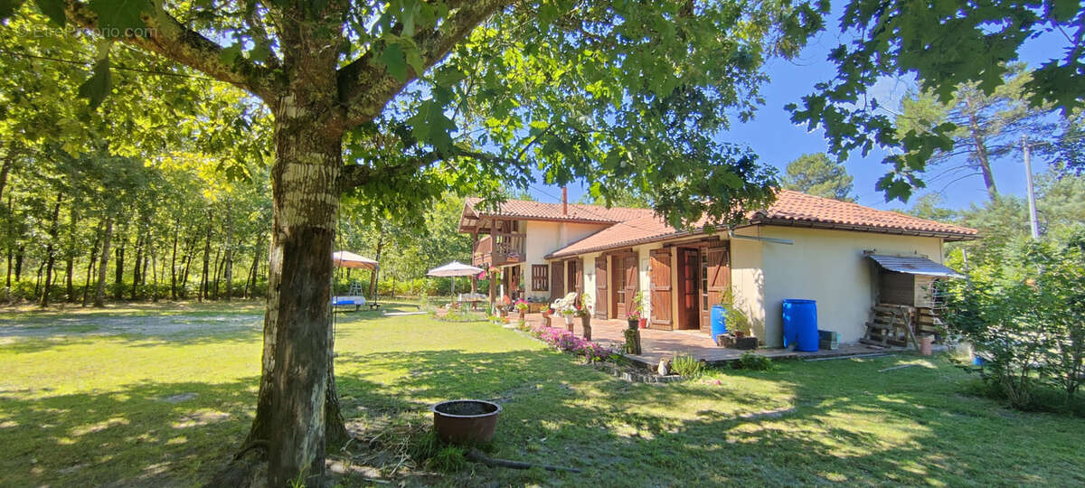 Autre à PARENTIS-EN-BORN