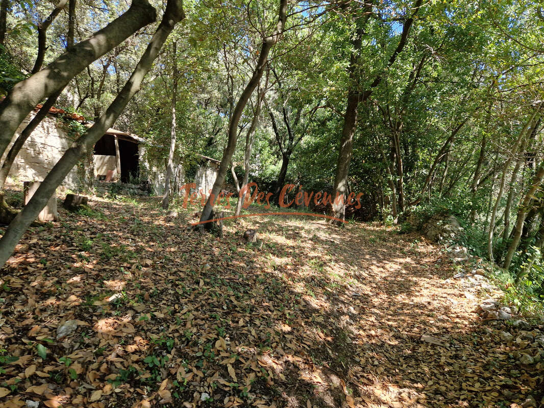 Agréable Mas de hameau sans vis à vis - photo 13