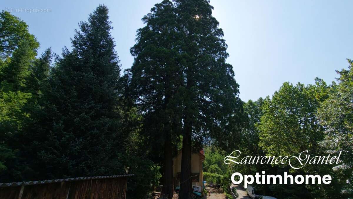 Maison atypique avec dépendance et terrain de 1 550 m² sans vis-à-vis – Barrême - photo 10