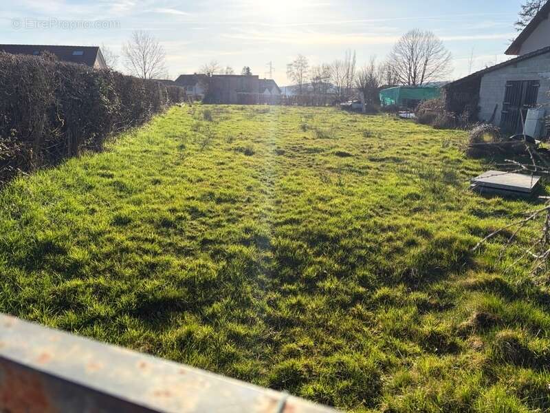 Terrain à TOULON-SUR-ARROUX