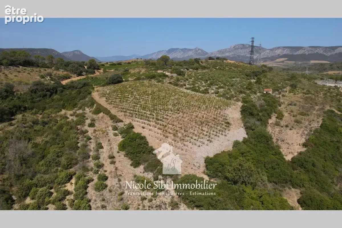 Terrain 4 325 m² à vendre à Tautavel (66720) - photo 6