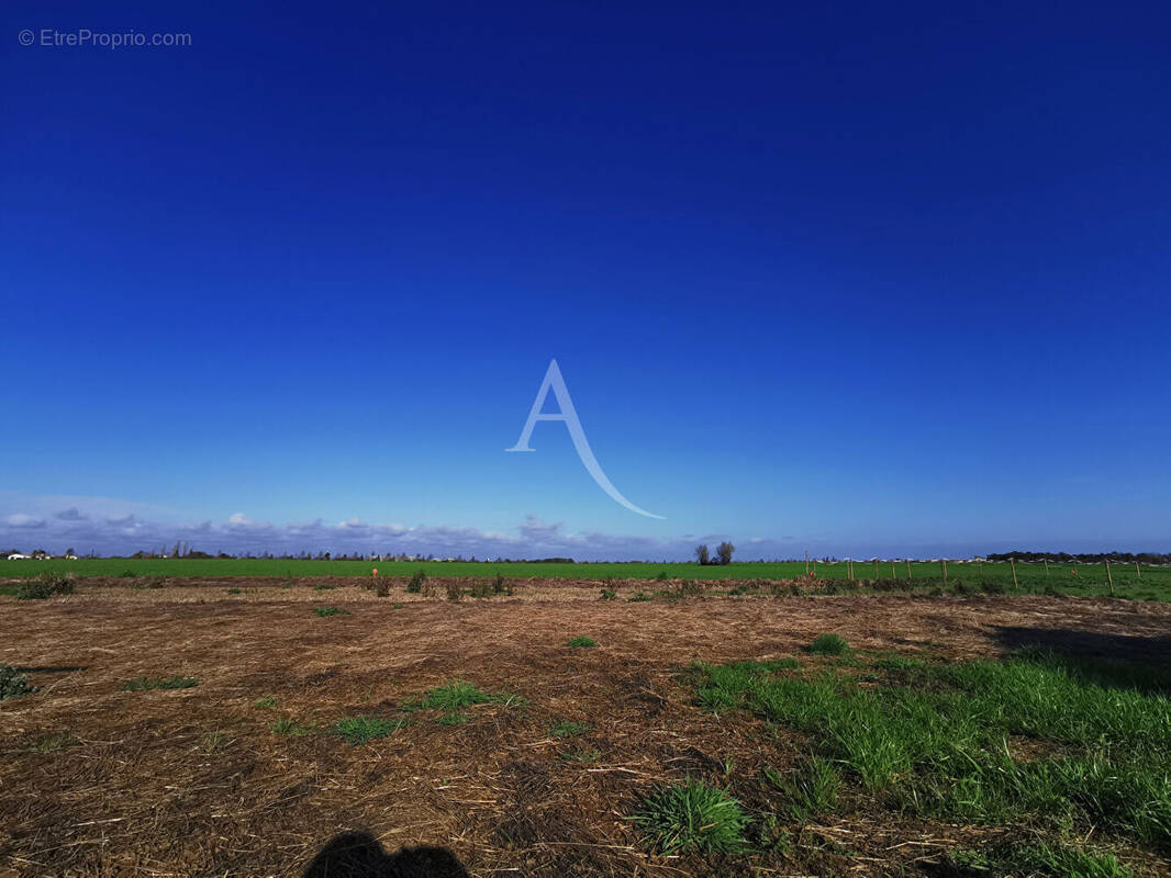 Terrain à TALMONT-SAINT-HILAIRE