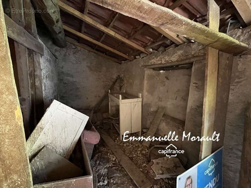 Commerce à BAGNOLS-EN-FORET