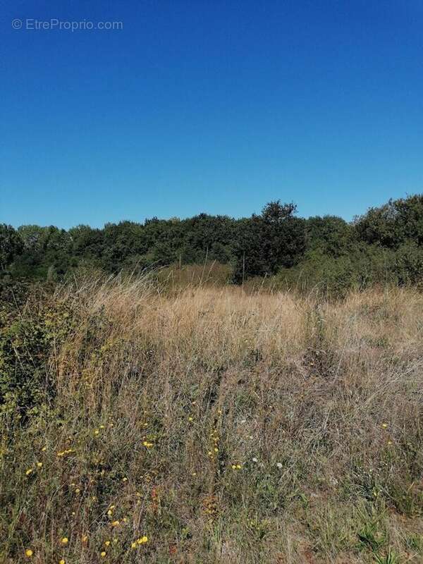 Photo 3 - Terrain à VIERZON