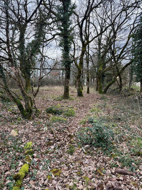 Terrain à VILLEFRANCHE-DE-ROUERGUE
