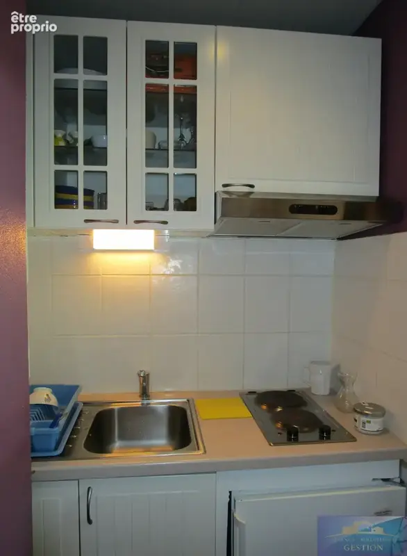 Studio centre ville / 21 m2 / vue montagne - photo 8