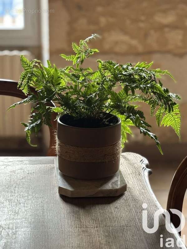 Photo 9 - Maison à CHEPNIERS