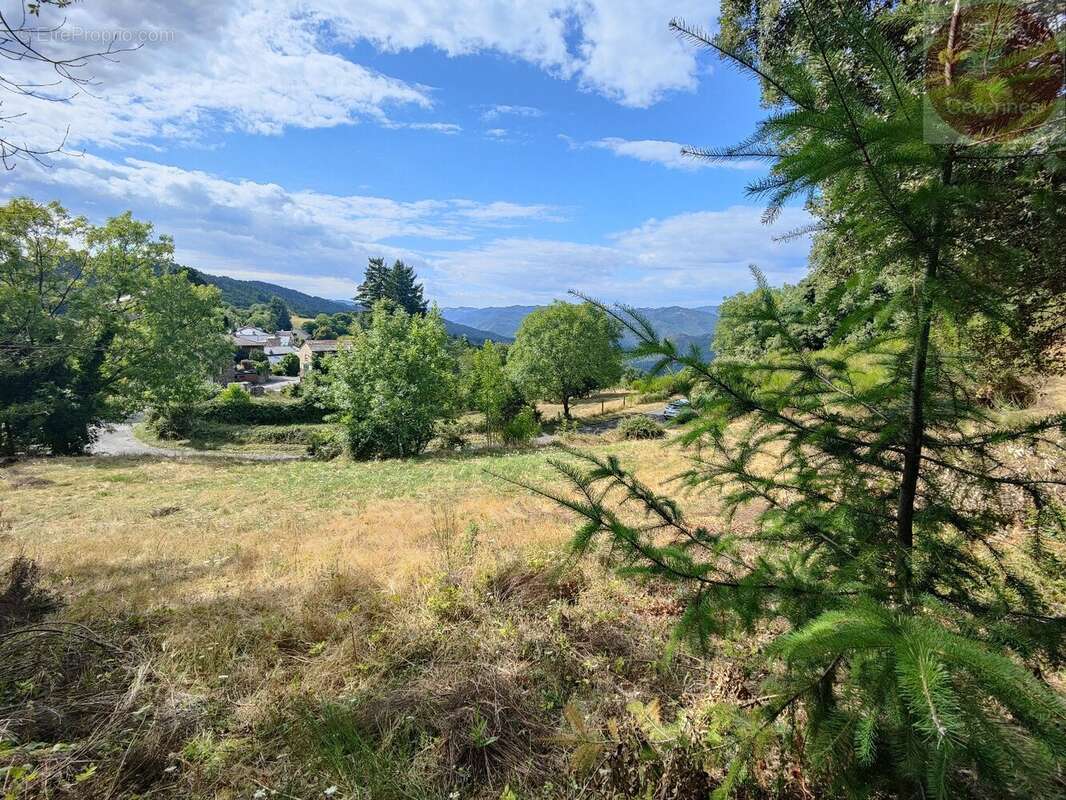 Terrain constructible de 2553m² en Cévennes Vallée Française - photo 2