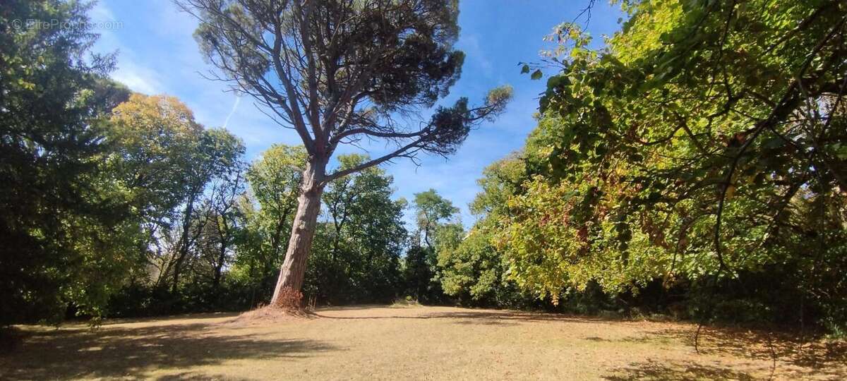 Maison à CASTELNAUDARY