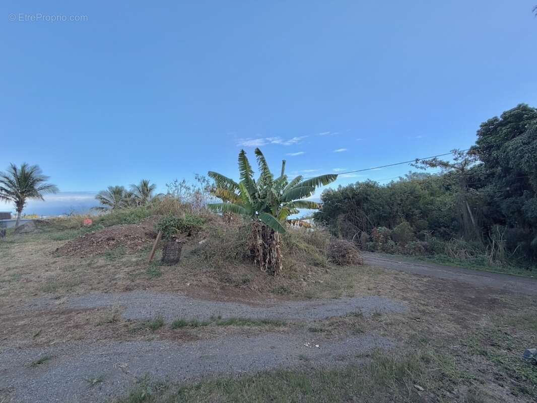 Terrain à vendre – 419 m² avec vue mer – La Possession 97419, secteur Ravine à Malheur - photo 3