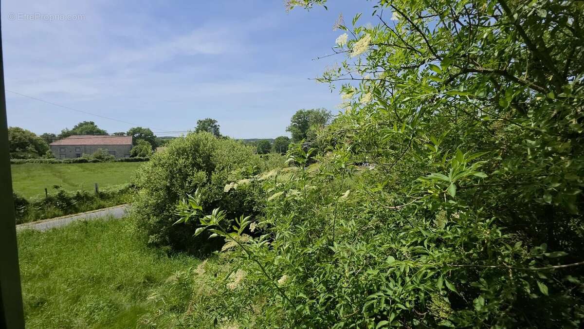 À vendre : maison de campagne 3 chambres et terrain - THIAT (87) - photo 15