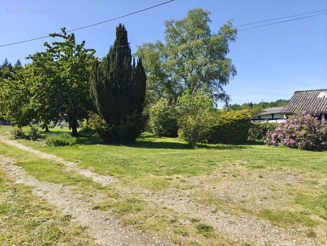 Maison Normande, corps de ferme - photo 21