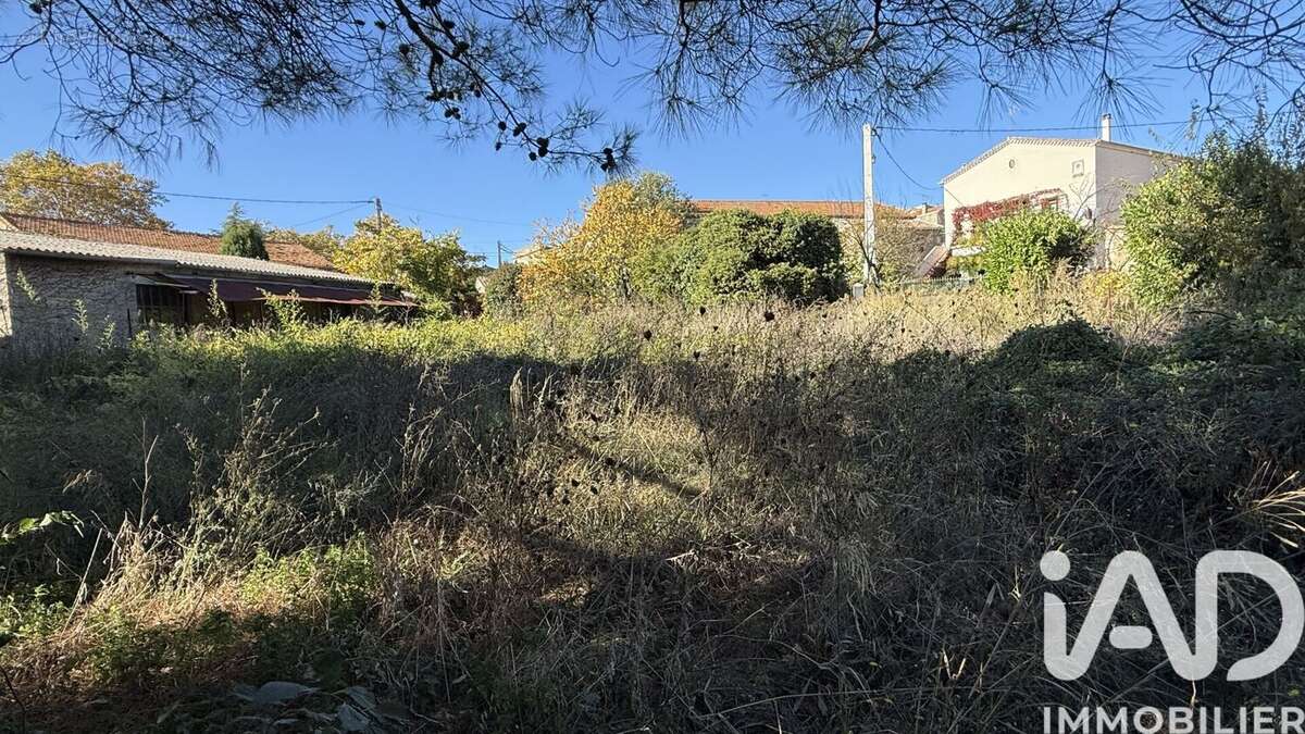 Photo 2 - Terrain à FONTES