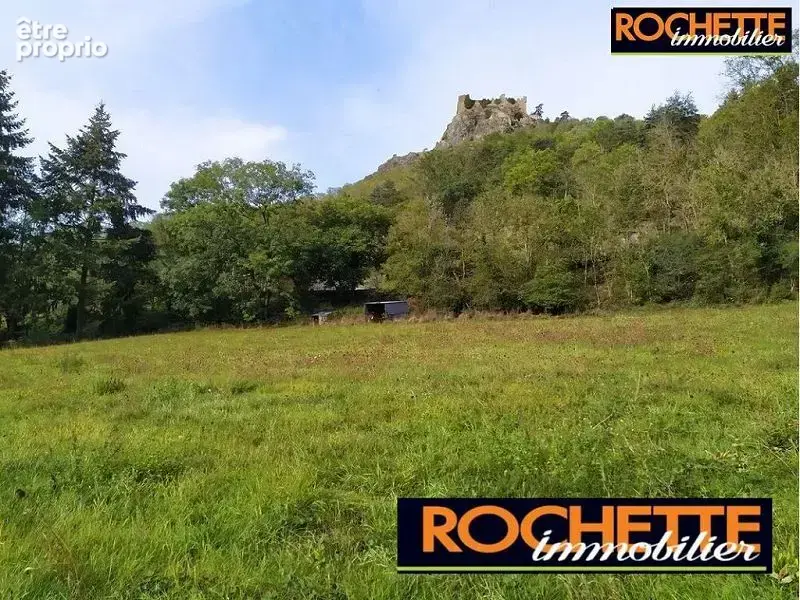 Terrain 2579 m² à Sail-Sous-Couzan  - photo 2