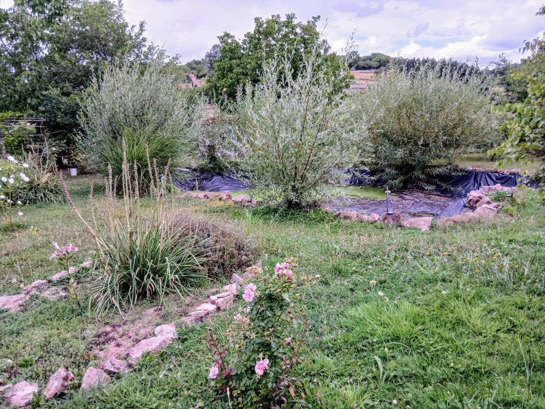 Photo 3 - Maison à CURGY