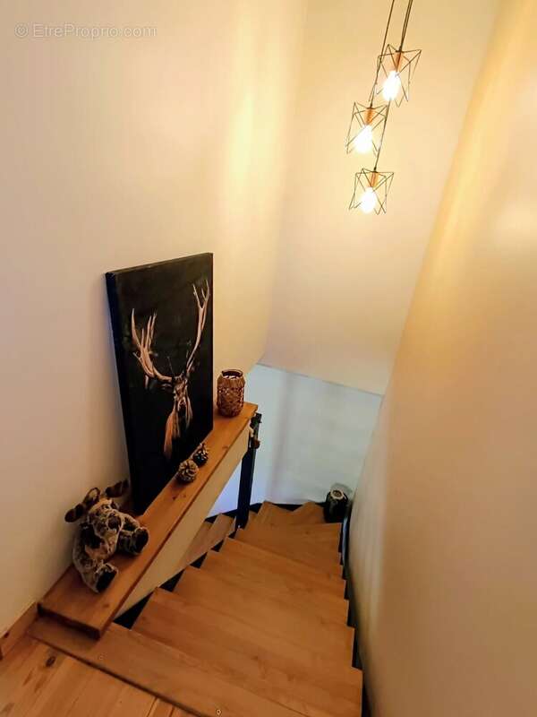 Corrençon en Vercors : Bel appartement T3 duplex ,avec jardin et cave . - photo 25
